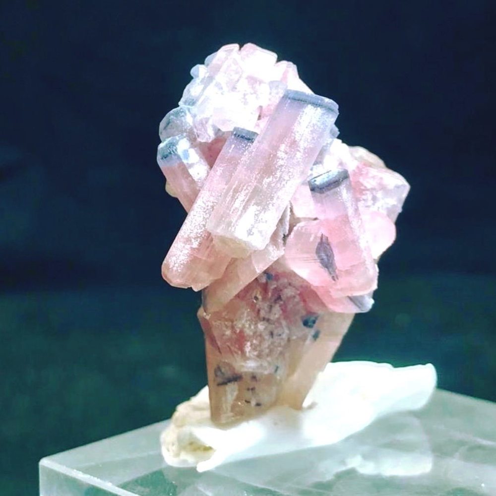 Meet your Posher, Mahi